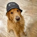 YOGI