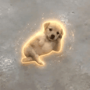 CHILLDOG