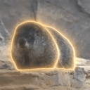 ゆば