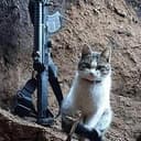 TCAT