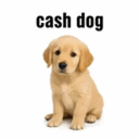 CASHDOG