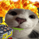 NUKECAT