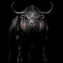 Bulldeng