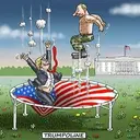 Trumpoline