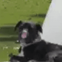 JUDE