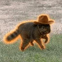 JNUT