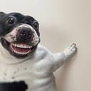 HAPPY