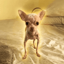 CHANCO