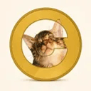CATE