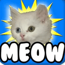 MEOW