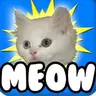 MEOW