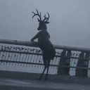 Pondeer
