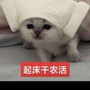 起床干农活