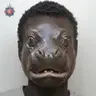 DOUK⁠