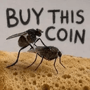 flysex