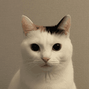 Bean