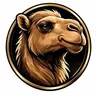 coindexcamel