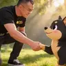 Z DOGE
