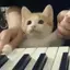 pianocat