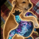Jerry