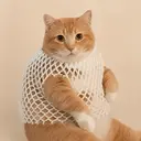 wCAT