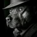 Amigo
