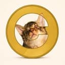 猫猫币