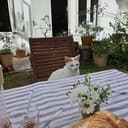 catdnr