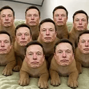 10T