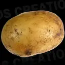 POTATO