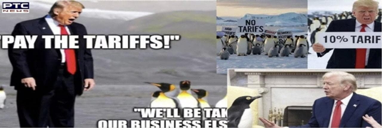 penguin tariff Banner