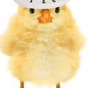 taxchick