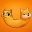CATDOG