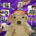 psyopdog