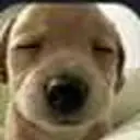 Benny