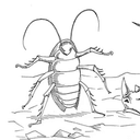 COCKROACH