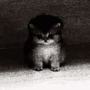 Evil