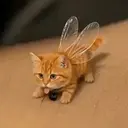 Billi