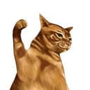 CATTAP