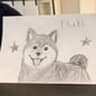 MCDOGE