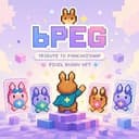 bPEG
