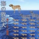 海狗