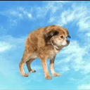 $