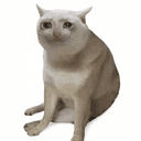 CASHCAT