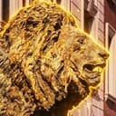 Roar-ee