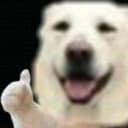 PRO-DOG