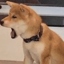 4INU