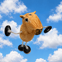 Capy