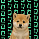 rDOG