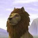 ROARDOG